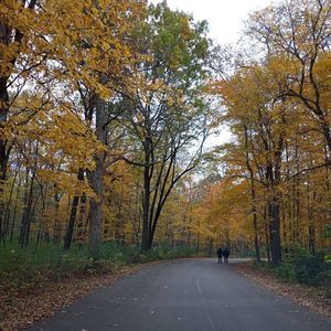 Meet your Posher, Marie